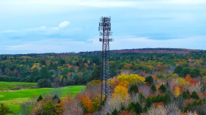 Cell Tower Surrounded by Trees with Fall Leaves